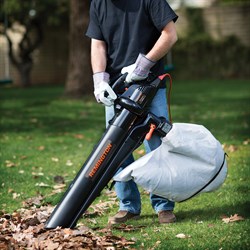 Leaf Blowers Image